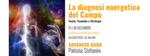 La diagnosi energetica del Campo: Teorie, Tecniche e Strategie @ Istituto Europeo di Shiatsu Milano Spazio Mu | Milano | Lombardia | Italia