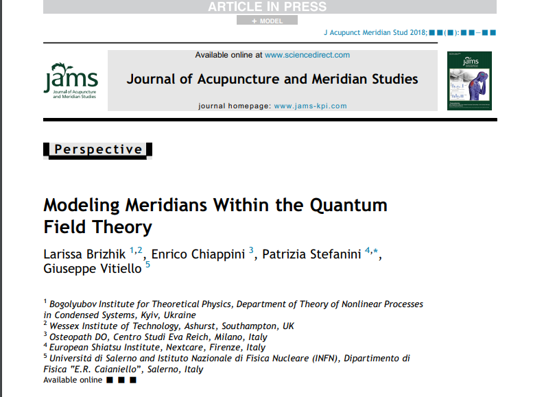 Modeling Meridians Within the Quantum Field Theory